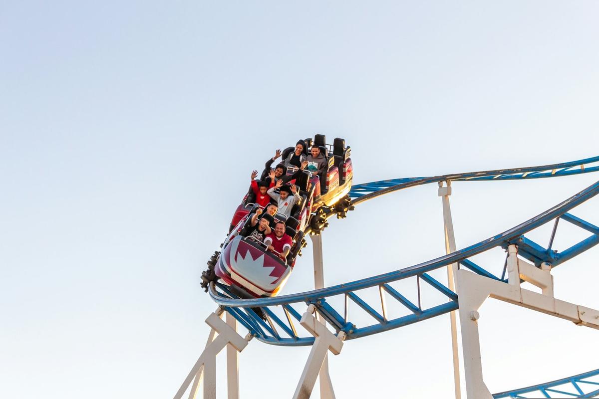 Coaster loop
