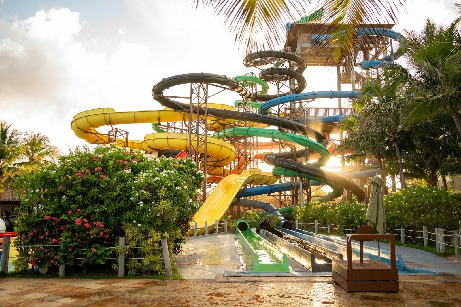 Slides among palms